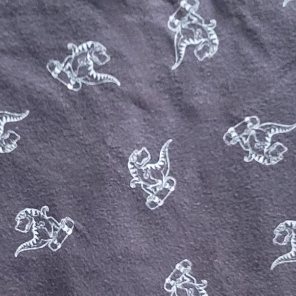 Tommy Bahama Toddler Boy Blue Gray Dino Skateboard Graphic Crew Neck T-Shirt 4t - Picture 2 of 6